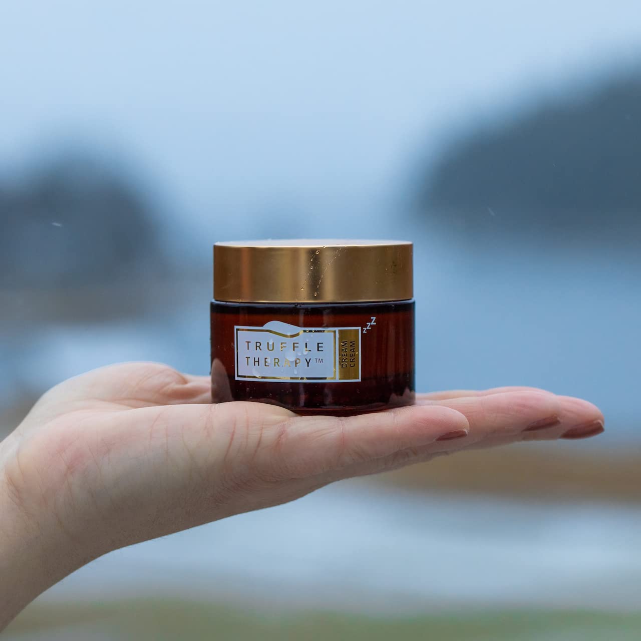 SKIN&CO Truffle Therapy Dream Cream, 1.7 FL OZ, AHA Night Cream, Acid Fruit Complex, Radiance Boosting Creme, Alcohol Free, GMO Free, Vegan, Organic Farming, Black Winter Truffle Extract